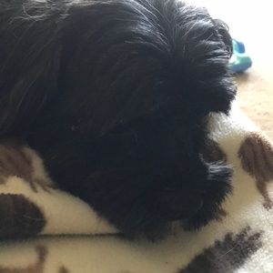 Meet your Posher, Allison